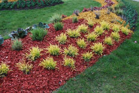 Création de jardin à Villedieu-les-Poêles